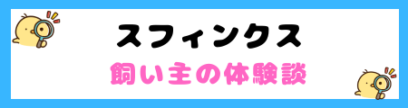 【初心者必見】スフィンクスの特徴と飼い方を徹底解説