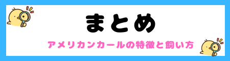 【初心者必見】アメリカンカール猫の特徴と飼い方を徹底解説！