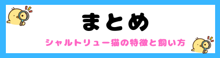 【初心者必見】シャルトリュー猫の特徴と飼い方を徹底解説