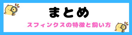 【初心者必見】スフィンクスの特徴と飼い方を徹底解説