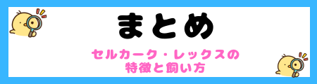 【初心者必見】セルカーク・レックス猫の特徴と飼い方を徹底解説