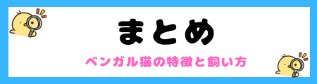 【初心者必見】ベンガルの特徴と飼い方を徹底解説