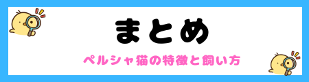 【初心者必見】ペルシャ猫の特徴と飼い方を徹底解説