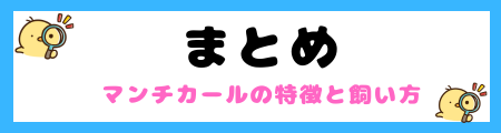 【初心者必見】マンチカールの特徴と飼い方を徹底解説