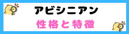 【初心者必見】アビシニアン猫の特徴と飼い方を徹底解説