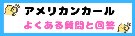 【初心者必見】アメリカンカール猫の特徴と飼い方を徹底解説！