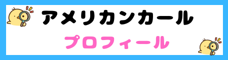 【初心者必見】アメリカンカール猫の特徴と飼い方を徹底解説！