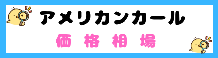 【初心者必見】アメリカンカール猫の特徴と飼い方を徹底解説！