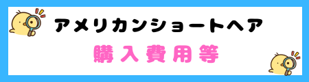 【初心者必見】アメリカンショートヘアの特徴と飼い方を徹底解説