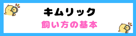 【初心者必見】キムリックの特徴と飼い方を徹底解説