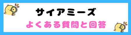 【初心者必見】サイアミーズ猫の特徴と飼い方を徹底解説