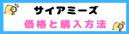 【初心者必見】サイアミーズ猫の特徴と飼い方を徹底解説