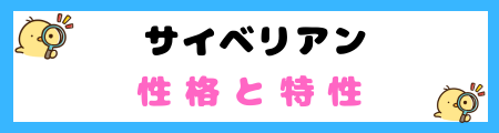 【初心者必見】サイベリアンの特徴と飼い方を徹底解説