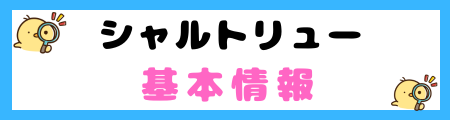 【初心者必見】シャルトリュー猫の特徴と飼い方を徹底解説