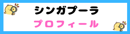 【初心者必見】シンガプーラ猫の特徴と飼い方を徹底解説