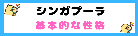 【初心者必見】シンガプーラ猫の特徴と飼い方を徹底解説