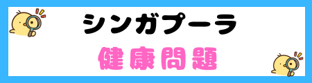 【初心者必見】シンガプーラ猫の特徴と飼い方を徹底解説
