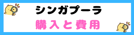 【初心者必見】シンガプーラ猫の特徴と飼い方を徹底解説