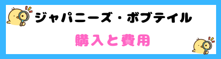 【初心者必見】ジャパニーズ・ボブテイルの特徴と飼い方を徹底解説