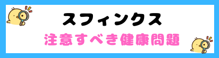 【初心者必見】スフィンクスの特徴と飼い方を徹底解説