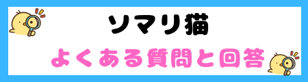 【初心者必見】ソマリ猫の特徴と飼い方を徹底解説