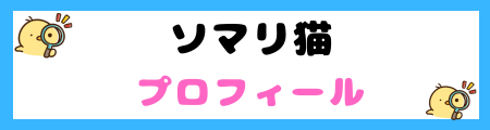 【初心者必見】ソマリ猫の特徴と飼い方を徹底解説
