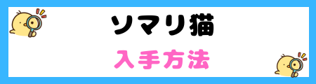 【初心者必見】ソマリ猫の特徴と飼い方を徹底解説