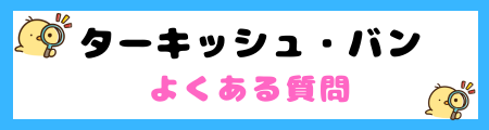 【初心者必見】ターキッシュ・バンの特徴と飼い方を徹底解説