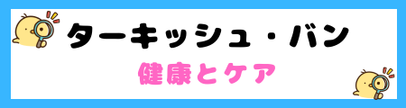 【初心者必見】ターキッシュ・バンの特徴と飼い方を徹底解説