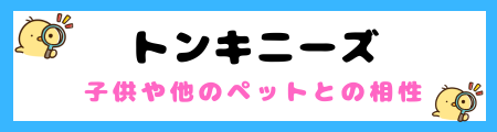 【初心者必見】トンキニーズ猫の特徴と飼い方を徹底解説