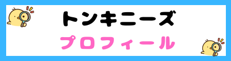 【初心者必見】トンキニーズ猫の特徴と飼い方を徹底解説