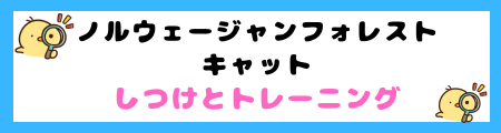 ノルウェージャンフォレストキャットの特徴と飼い方を徹底解説