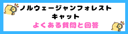 ノルウェージャンフォレストキャットの特徴と飼い方を徹底解説
