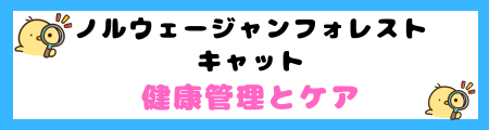 ノルウェージャンフォレストキャットの特徴と飼い方を徹底解説