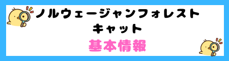ノルウェージャンフォレストキャットの特徴と飼い方を徹底解説