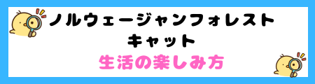 ノルウェージャンフォレストキャットの特徴と飼い方を徹底解説