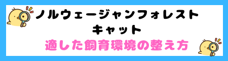 ノルウェージャンフォレストキャットの特徴と飼い方を徹底解説