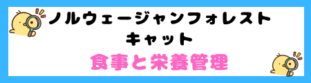 ノルウェージャンフォレストキャットの特徴と飼い方を徹底解説