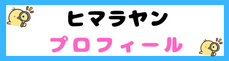 【初心者必見】ヒマラヤン猫の特徴と飼い方を徹底解説