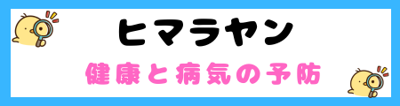 【初心者必見】ヒマラヤン猫の特徴と飼い方を徹底解説