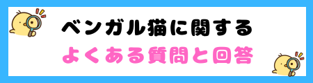 【初心者必見】ベンガルの特徴と飼い方を徹底解説