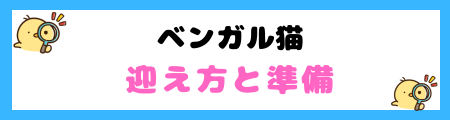 【初心者必見】ベンガルの特徴と飼い方を徹底解説