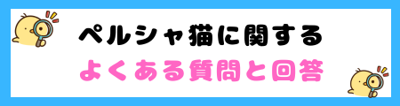 【初心者必見】ペルシャ猫の特徴と飼い方を徹底解説