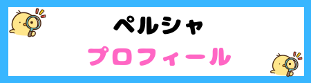 【初心者必見】ペルシャの特徴と飼い方を徹底解説