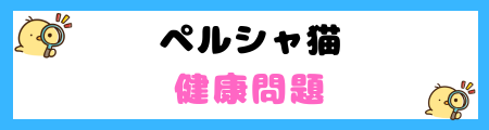 【初心者必見】ペルシャ猫の特徴と飼い方を徹底解説