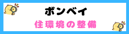【初心者必見】ボンベイ猫の特徴と飼い方を徹底解説
