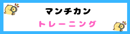 【初心者必見】マンチカンの特徴と飼い方を徹底解説