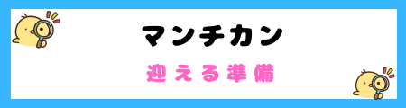 【初心者必見】マンチカンの特徴と飼い方を徹底解説