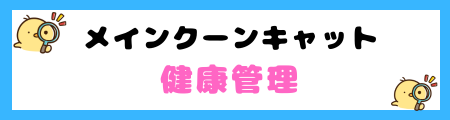 【初心者必見】メインクーンキャットの特徴と飼い方を徹底解説