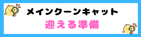 【初心者必見】メインクーンキャットの特徴と飼い方を徹底解説